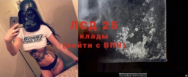 ГАЛЛЮЦИНОГЕННЫЕ ГРИБЫ Михайлов