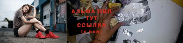ГАЛЛЮЦИНОГЕННЫЕ ГРИБЫ Михайлов
