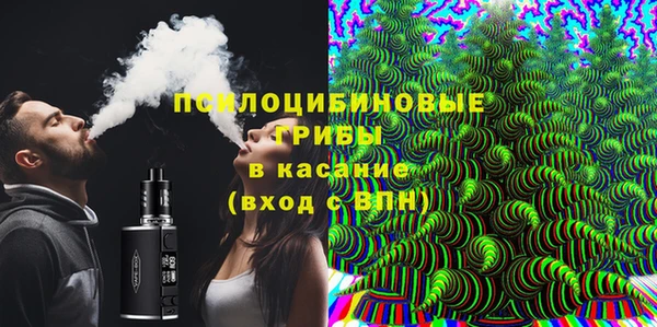 ешки Белокуриха